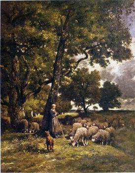 Sheep 167, unknow artist